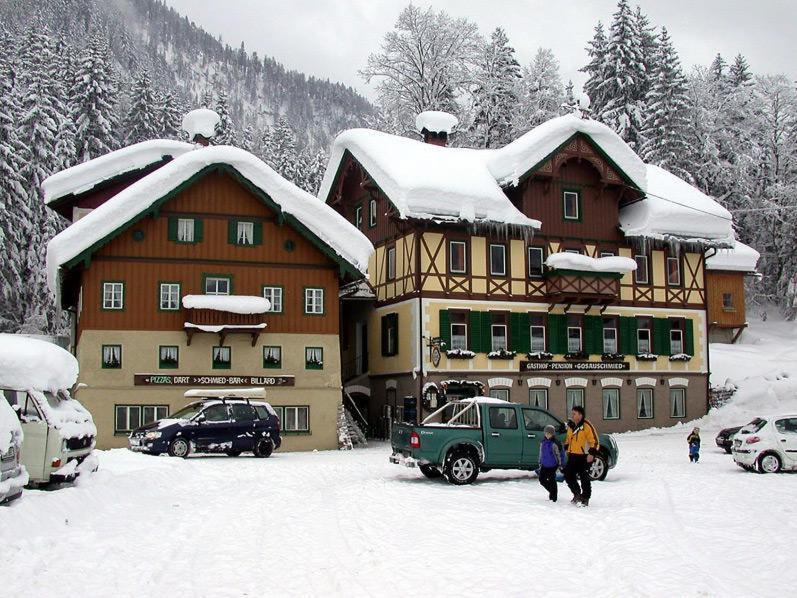 Jugendgaestehaus Gosauschmied Dış mekan fotoğraf